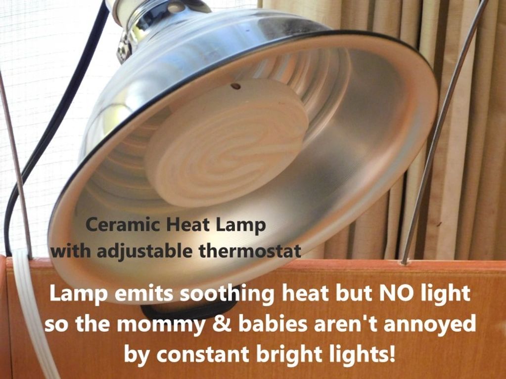 Our custom made Shih Tzu Whelping Boxes PupTzu WNC